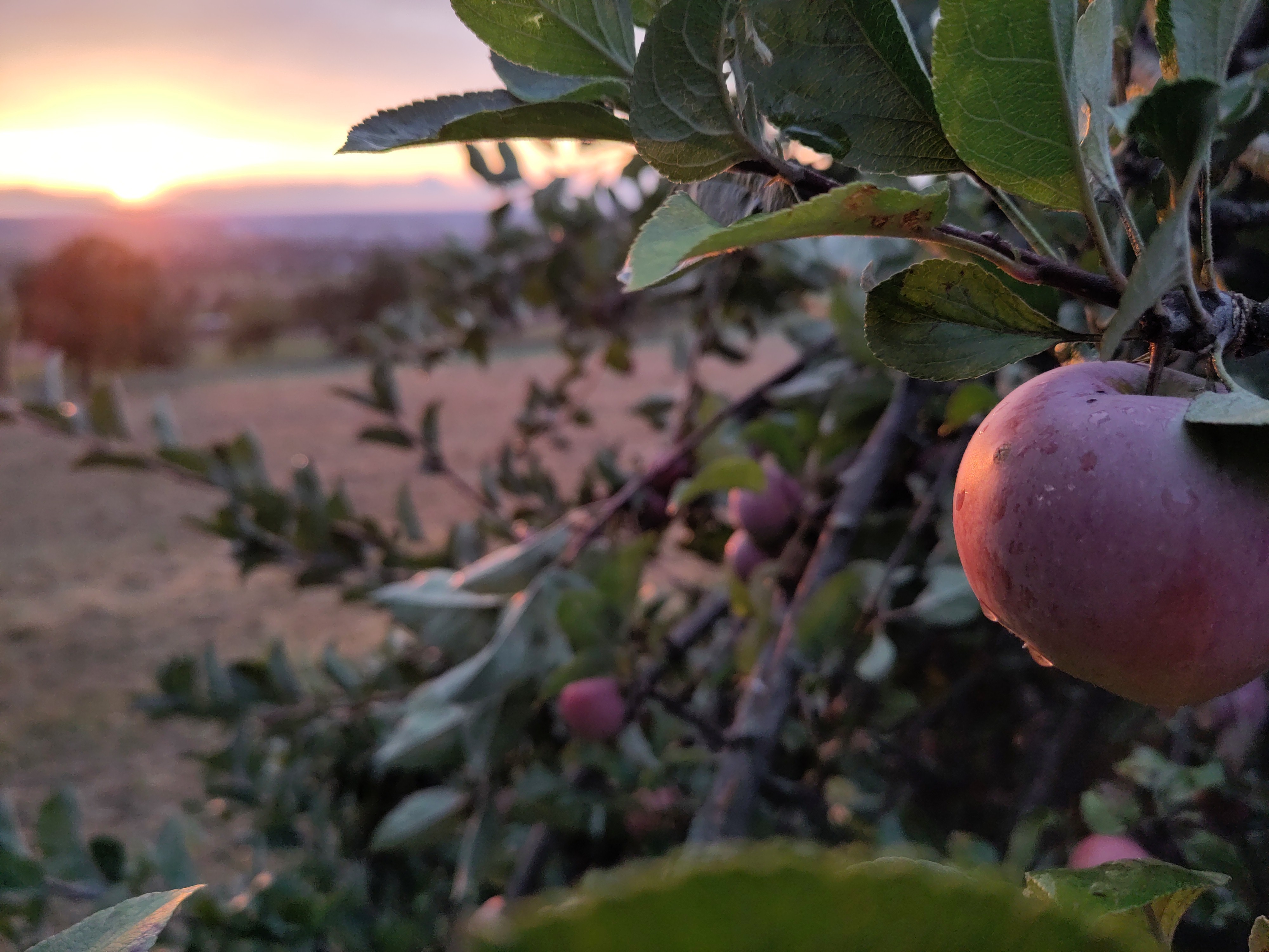 Romantischer Ausklang